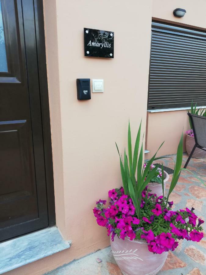 Dimitra - Loft Apartments Corfu  Luaran gambar